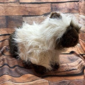 Ganz Webkinz Himalayan Cat Plush HM165 Stuffed Animal Kitty Blue Eyes NO Code